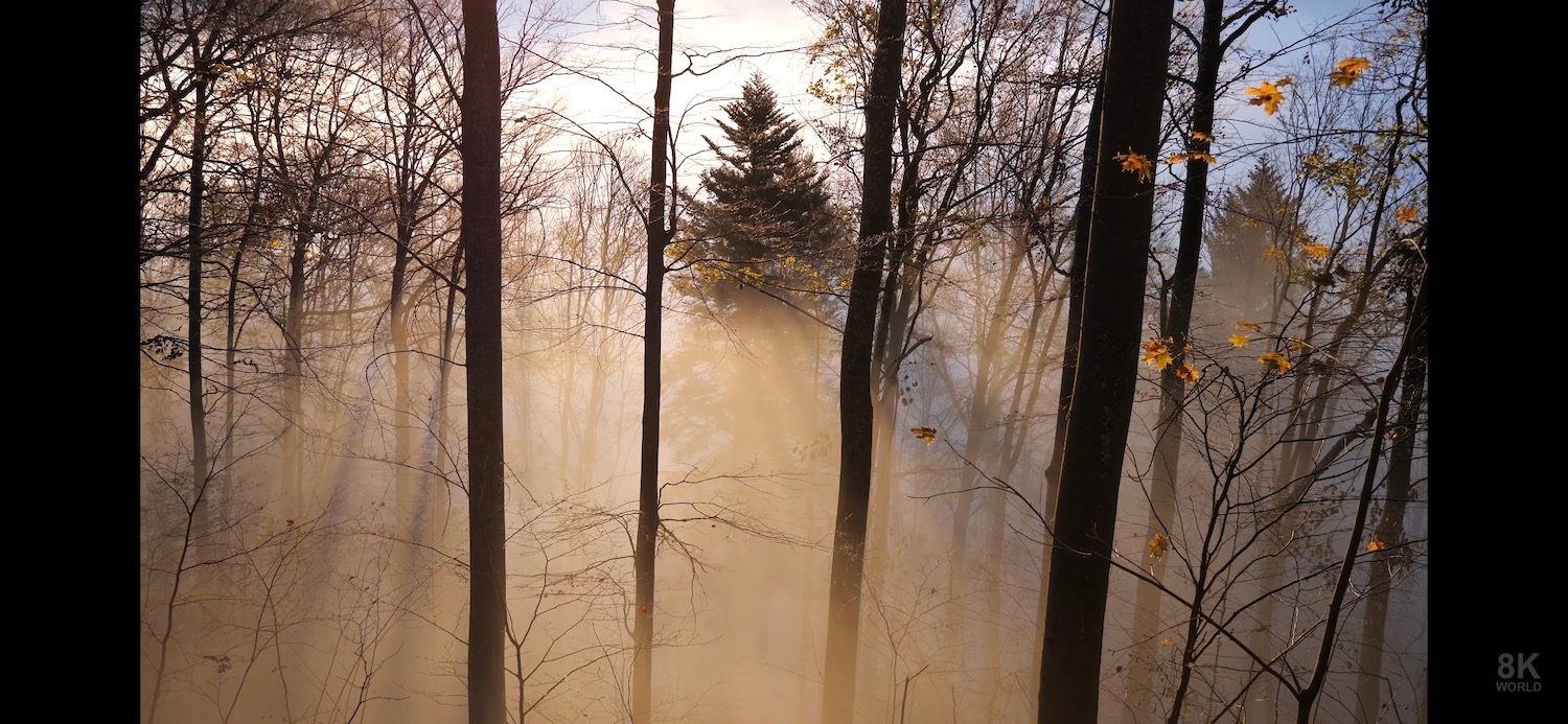 iphone 12 pro captura 04 1