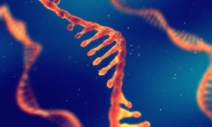 mutacion coronavirus no afecta vacunas csiro 505