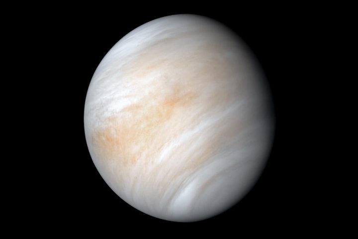 Venus