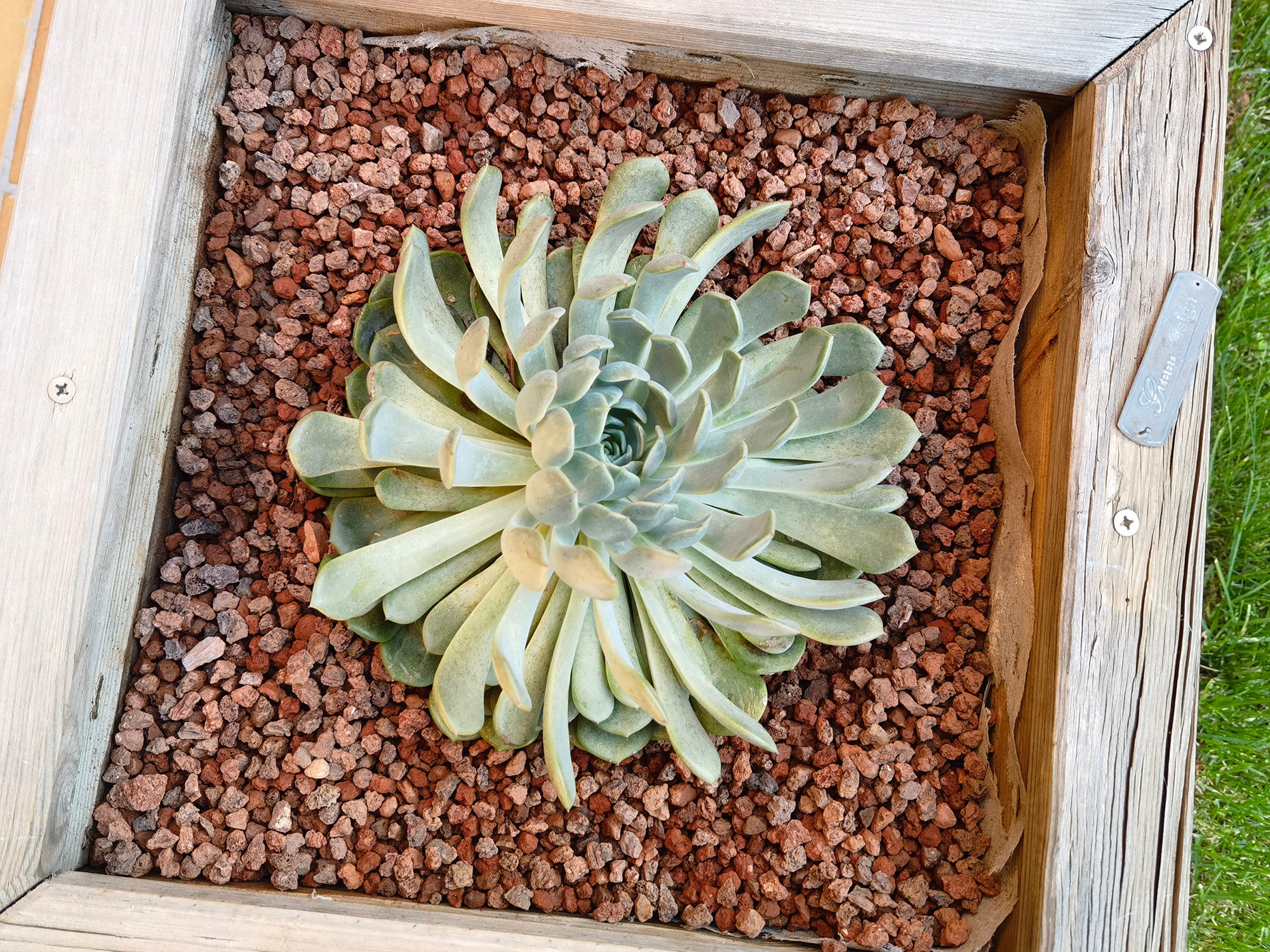 review huawei mate 40 pro analisis opinion precio foto camara