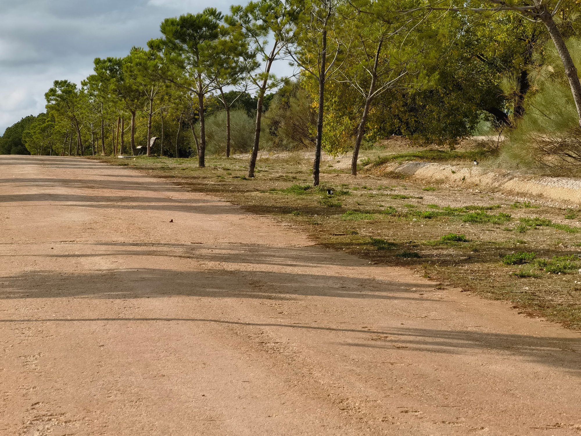 review huawei mate 40 pro analisis opinion precio foto zoom 1x