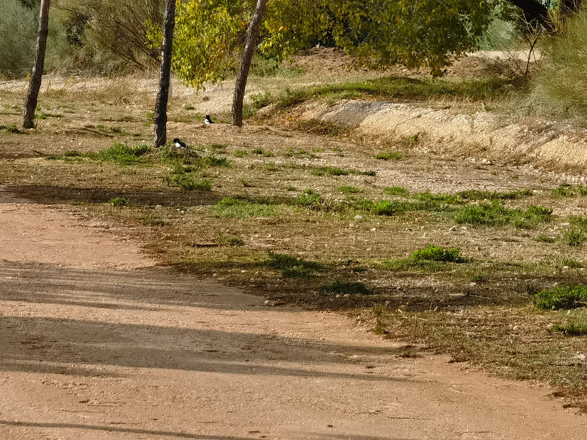 review huawei mate 40 pro analisis opinion precio foto zoom 50x