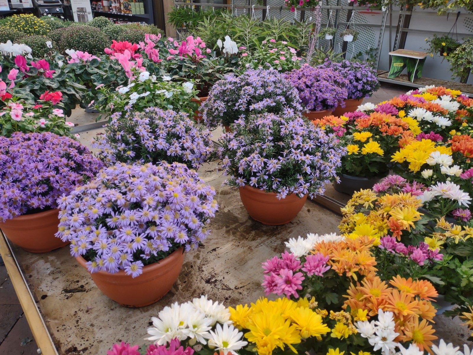 revision moto g 5g plus foto 3