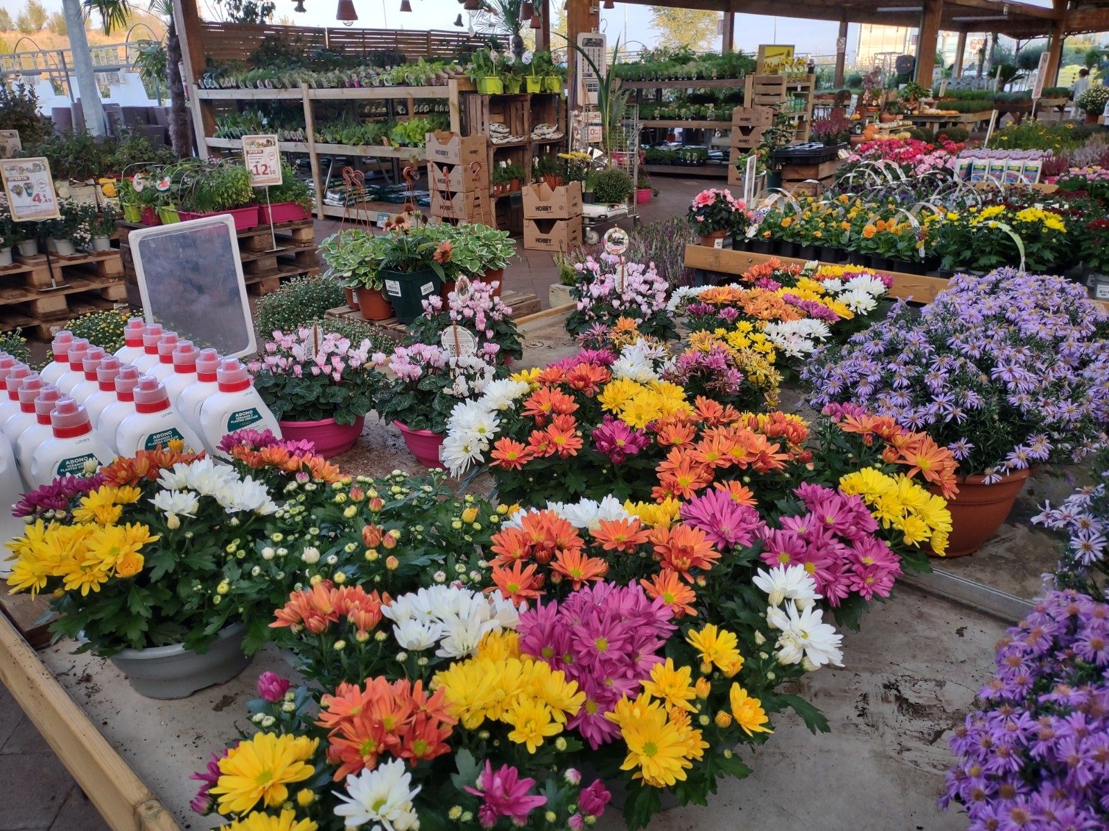 revision moto g 5g plus foto 4