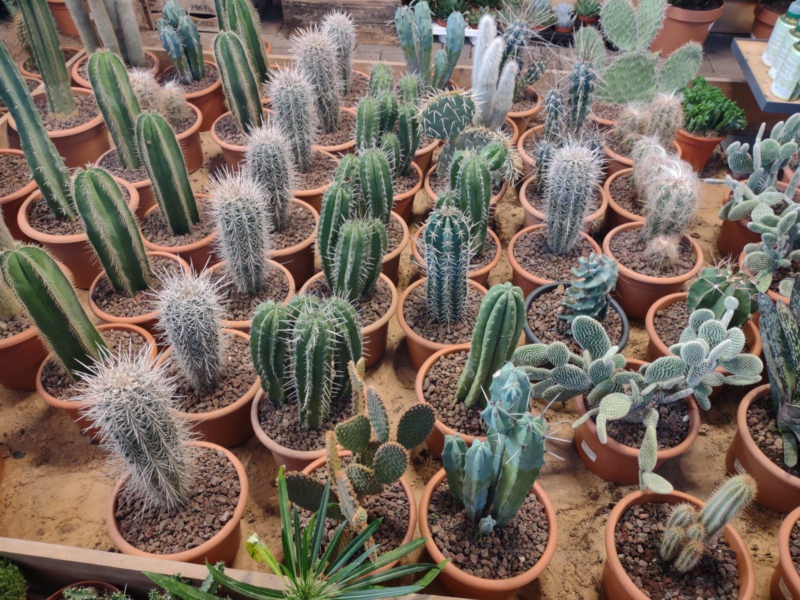 revision moto g 5g plus foto 6