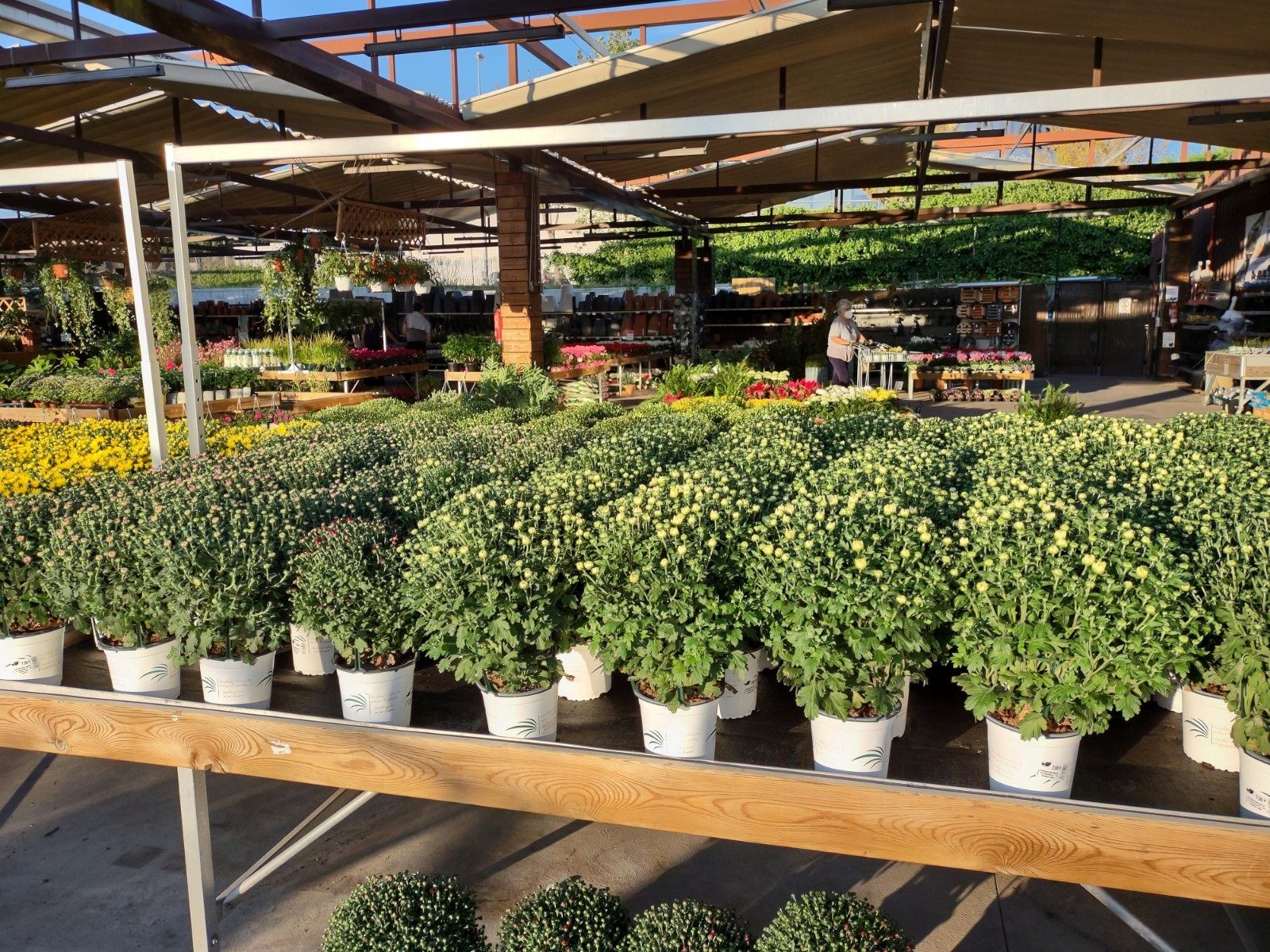 revision moto g 5g plus foto 8