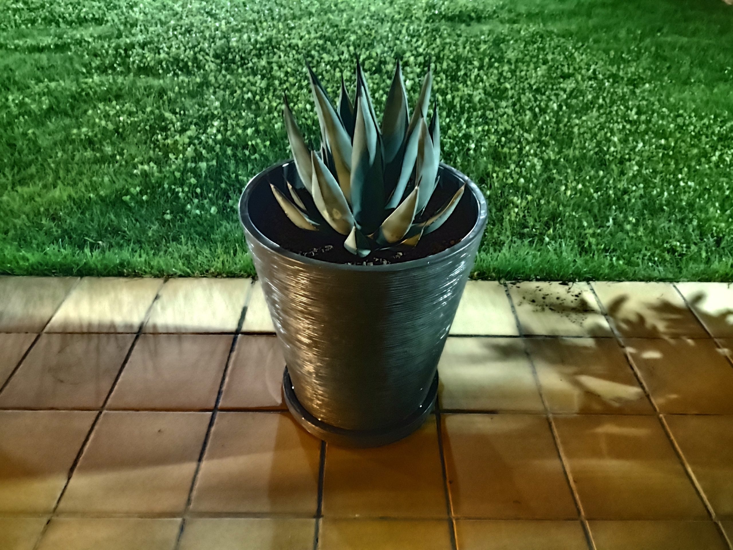 revision moto g 5g plus foto modo noche con luz