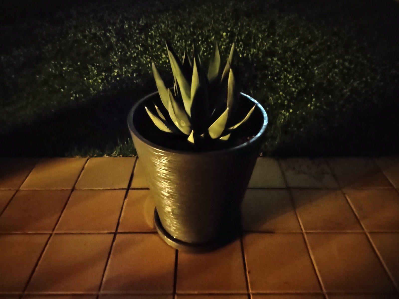revision moto g 5g plus foto modo noche sin luz