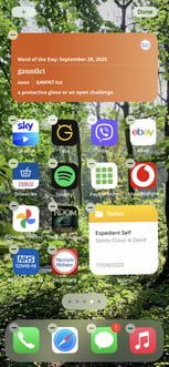 Merrian-Webster, aplicación con uno de los mejores widgets para iPhone 3