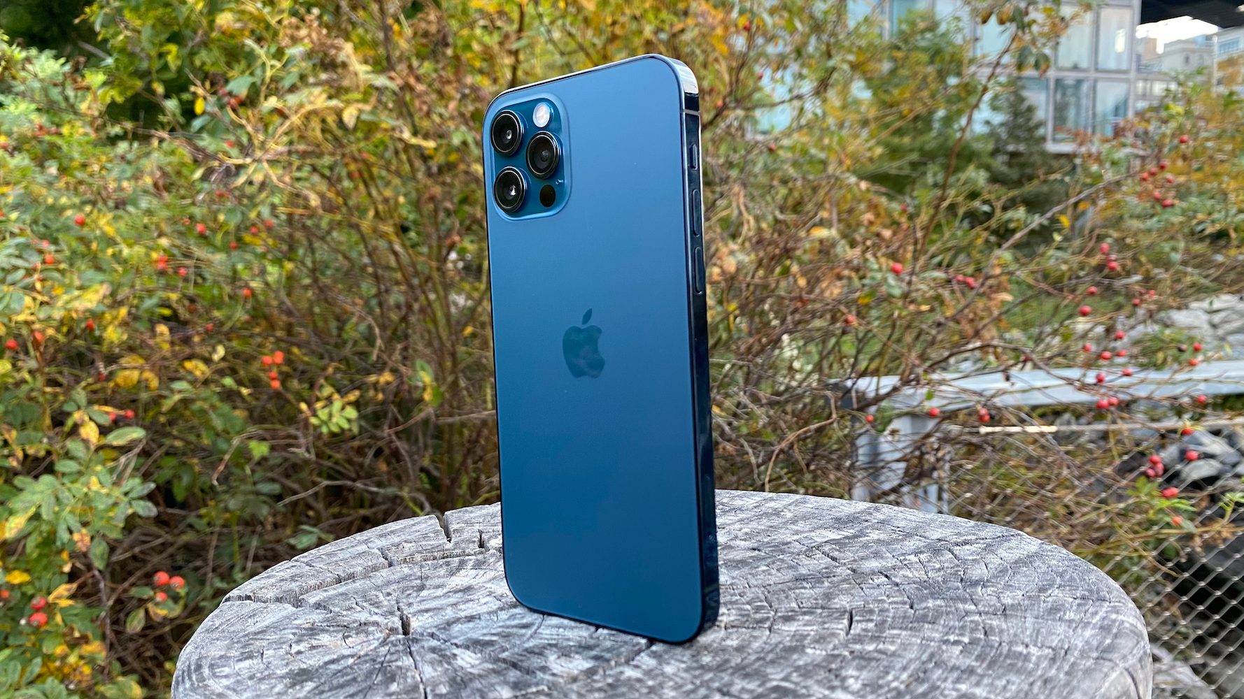 iphone 12 pro revision 13