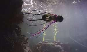 Robot calamar en el agua
