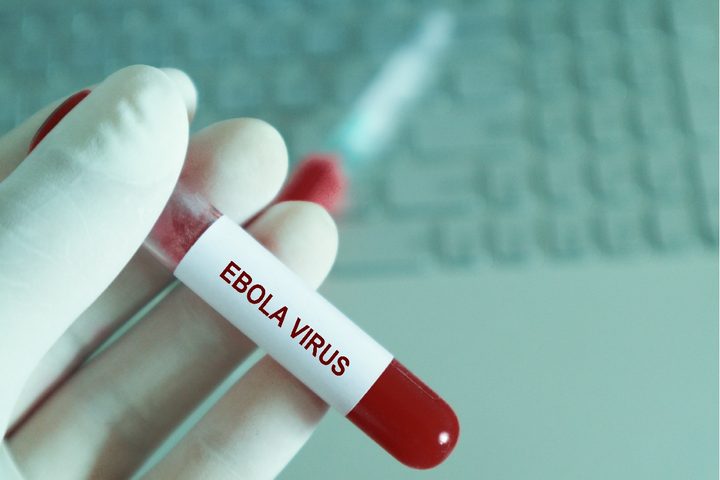 Virus del ébola