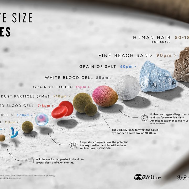 La imagen muestra una infografía que evidencia el tamaño del coronavirus en relación a otras partículas.