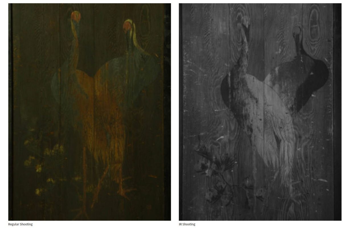 fujifilm camara infrarroja estudios forenses 01f1a480 2ef9 11eb bf47 6fa154a4b394