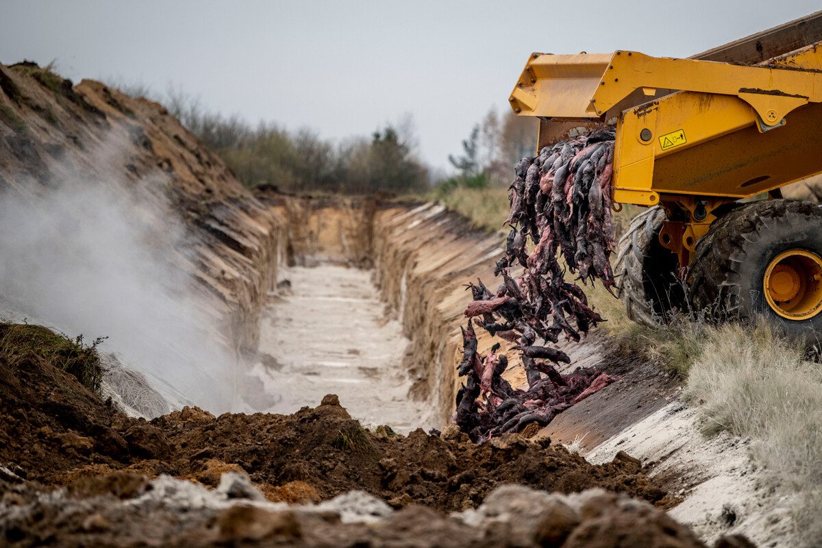 dreamcast ultima consola sega 1366 2000