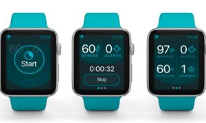 La imagen muestra la utilización de polvo de hierro para hacer funcionar una cervecería en los Países Bajos.