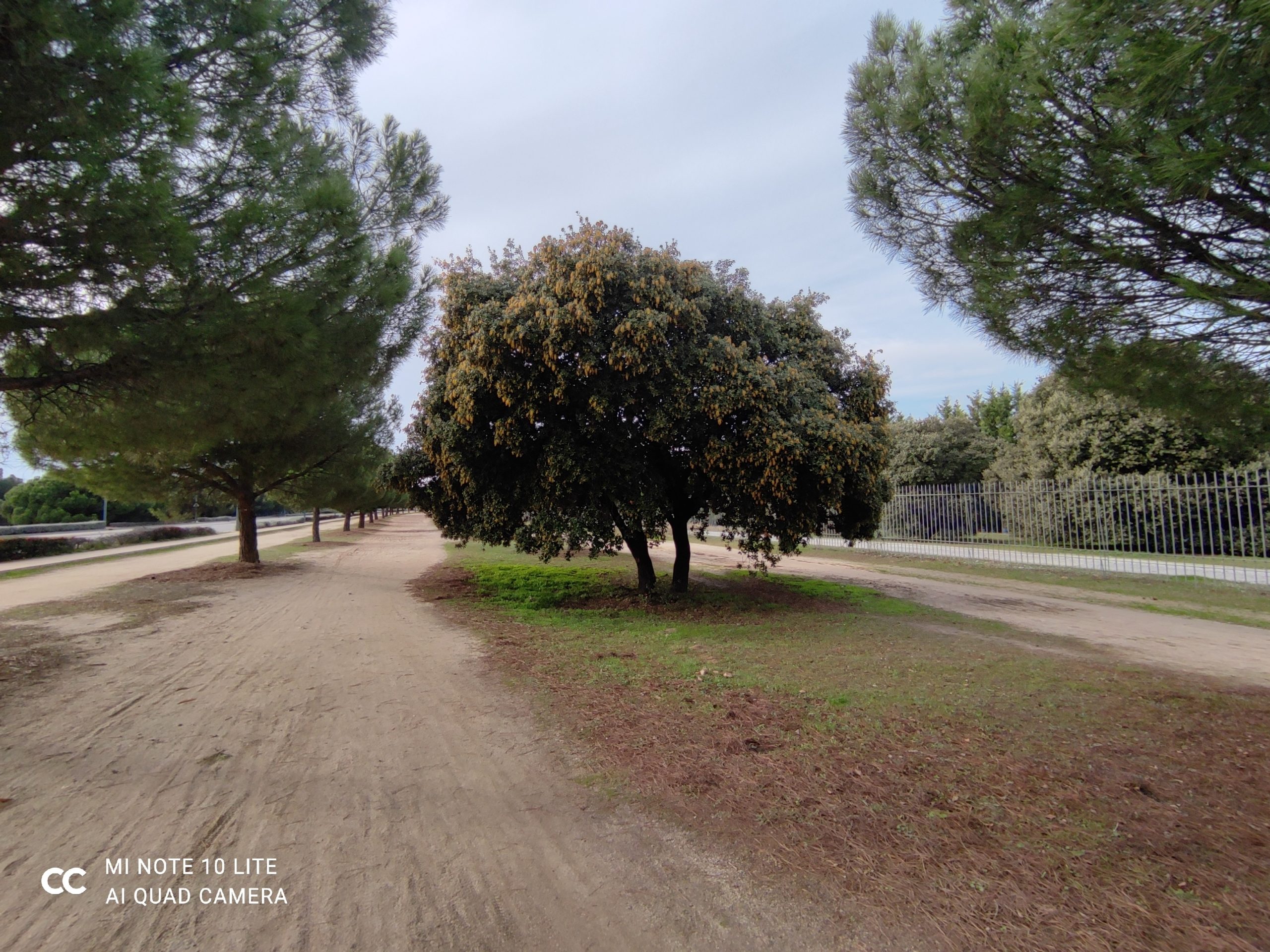 review mi note 10 lite analisis opinion precio foto 06x