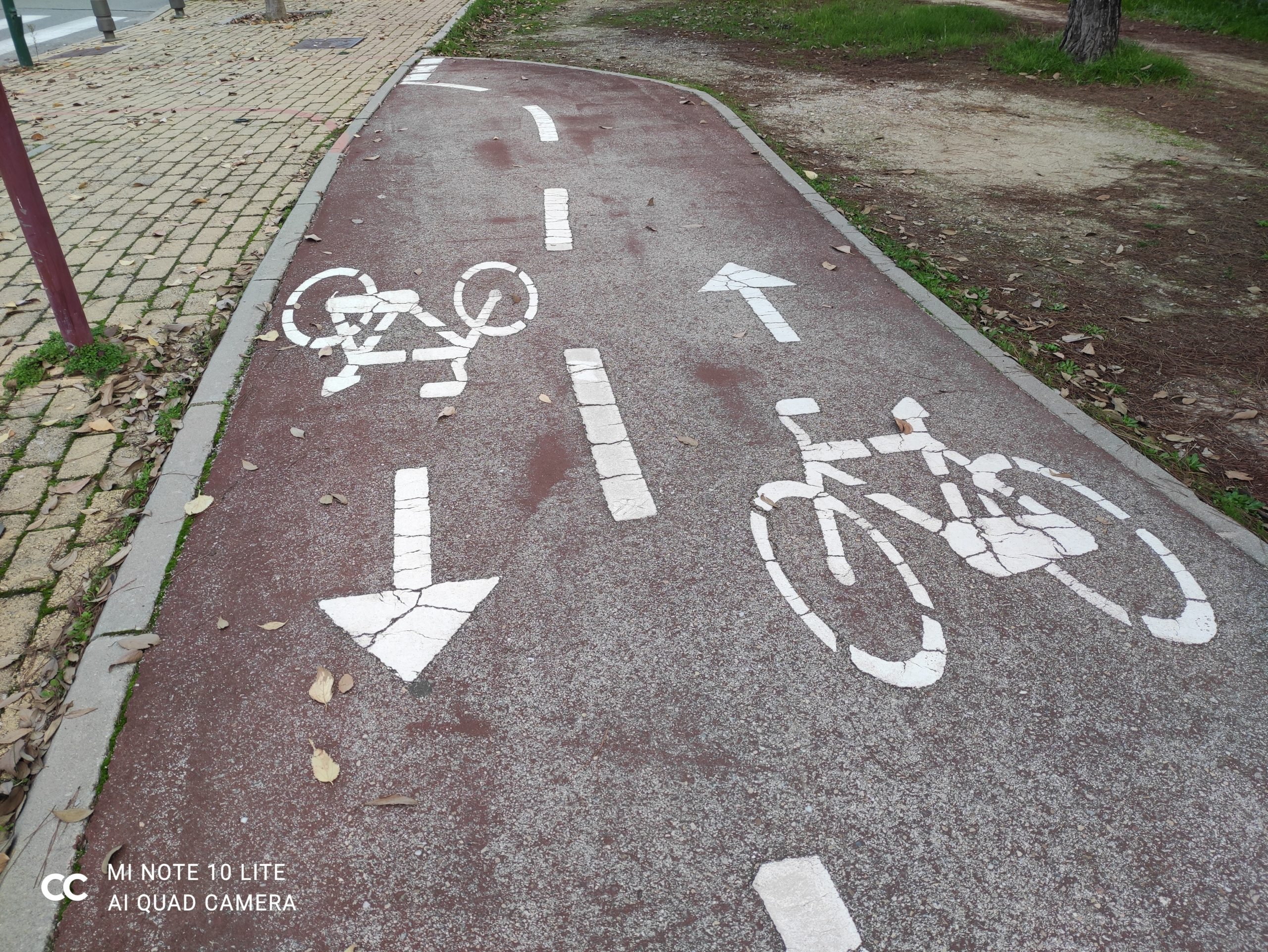 review mi note 10 lite analisis opinion precio foto 2