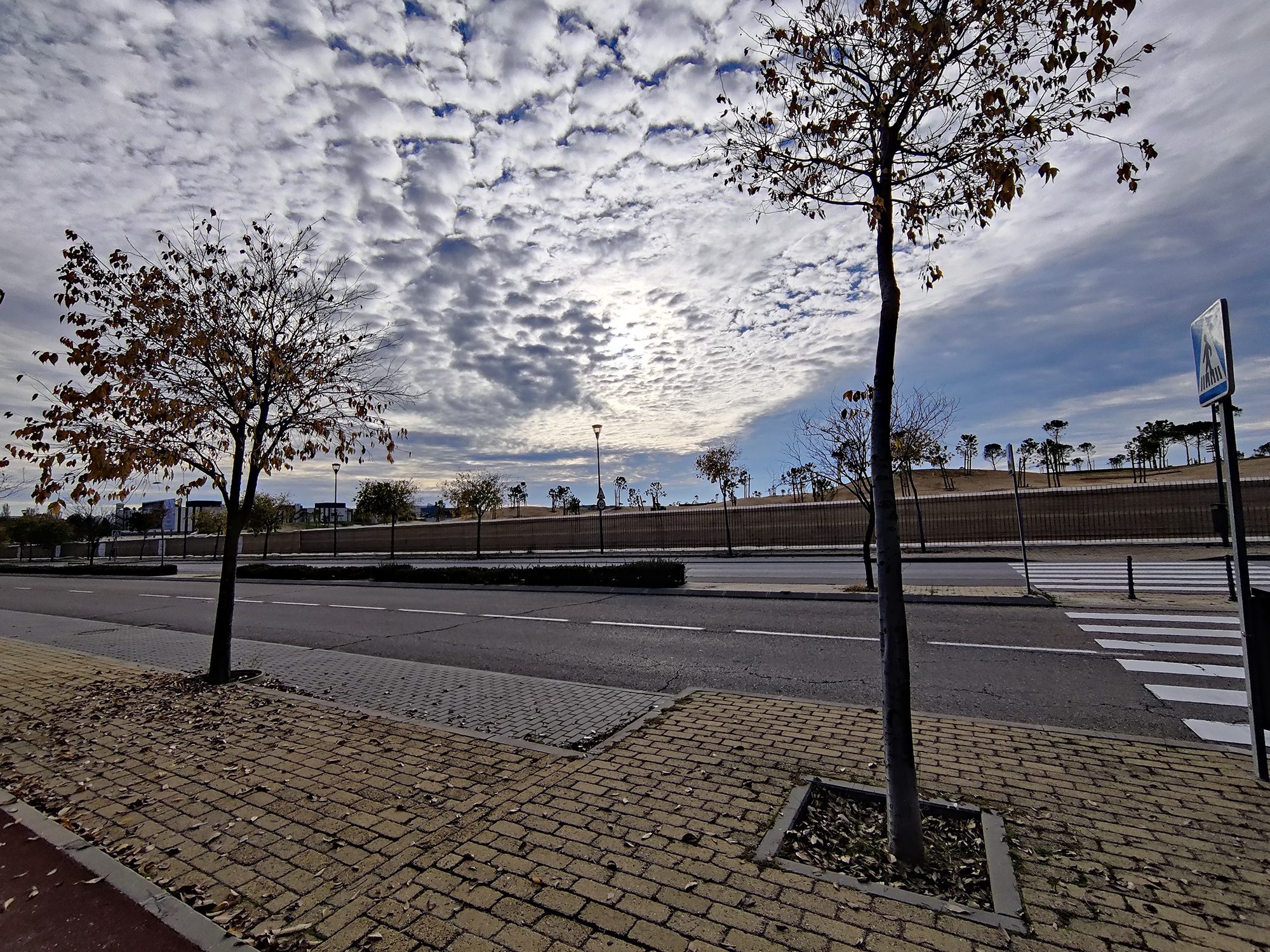 review oneplus 8t analisis opinion precio foto 5 copy