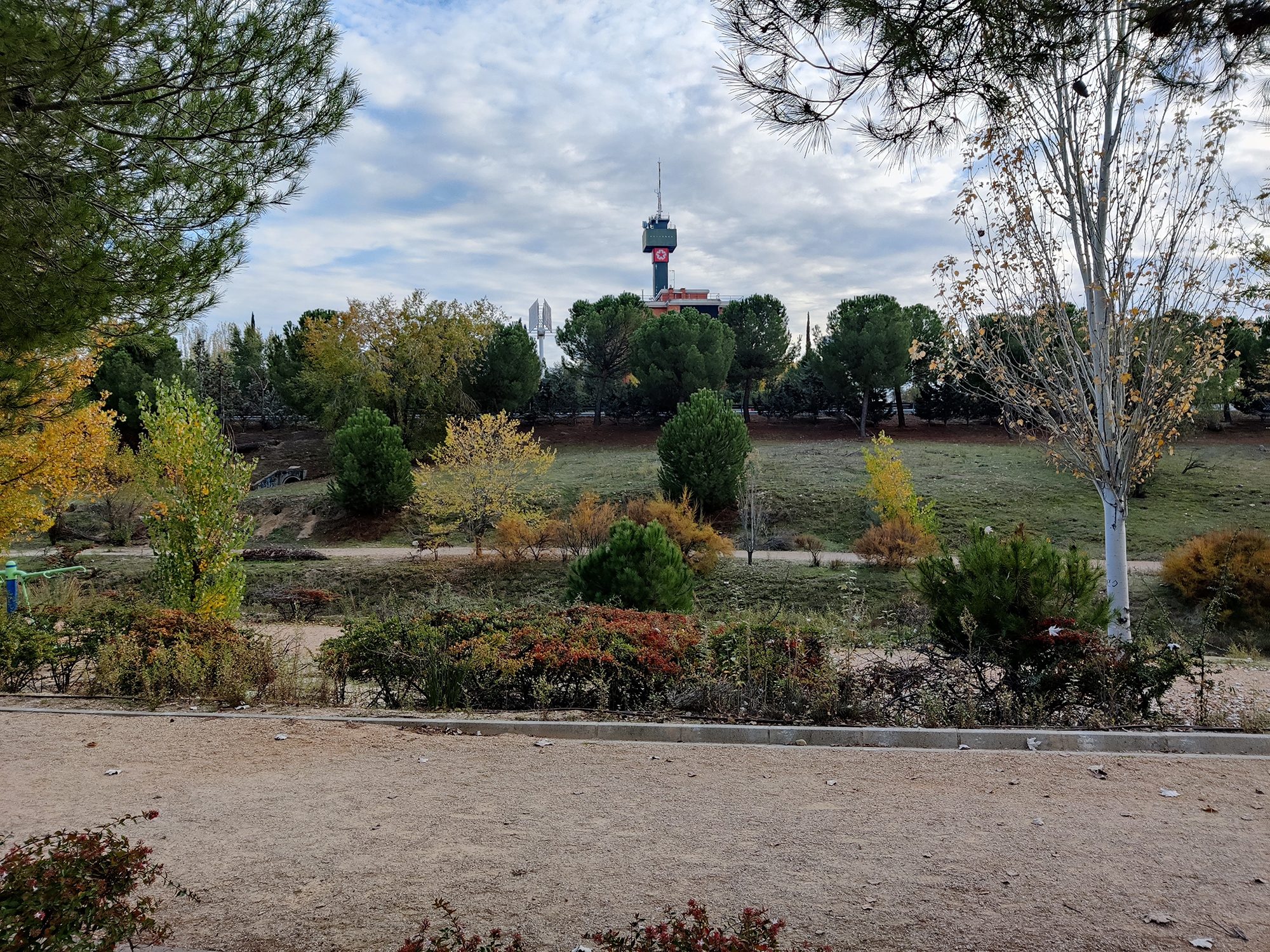 review oneplus 8t analisis opinion precio foto zoom copy