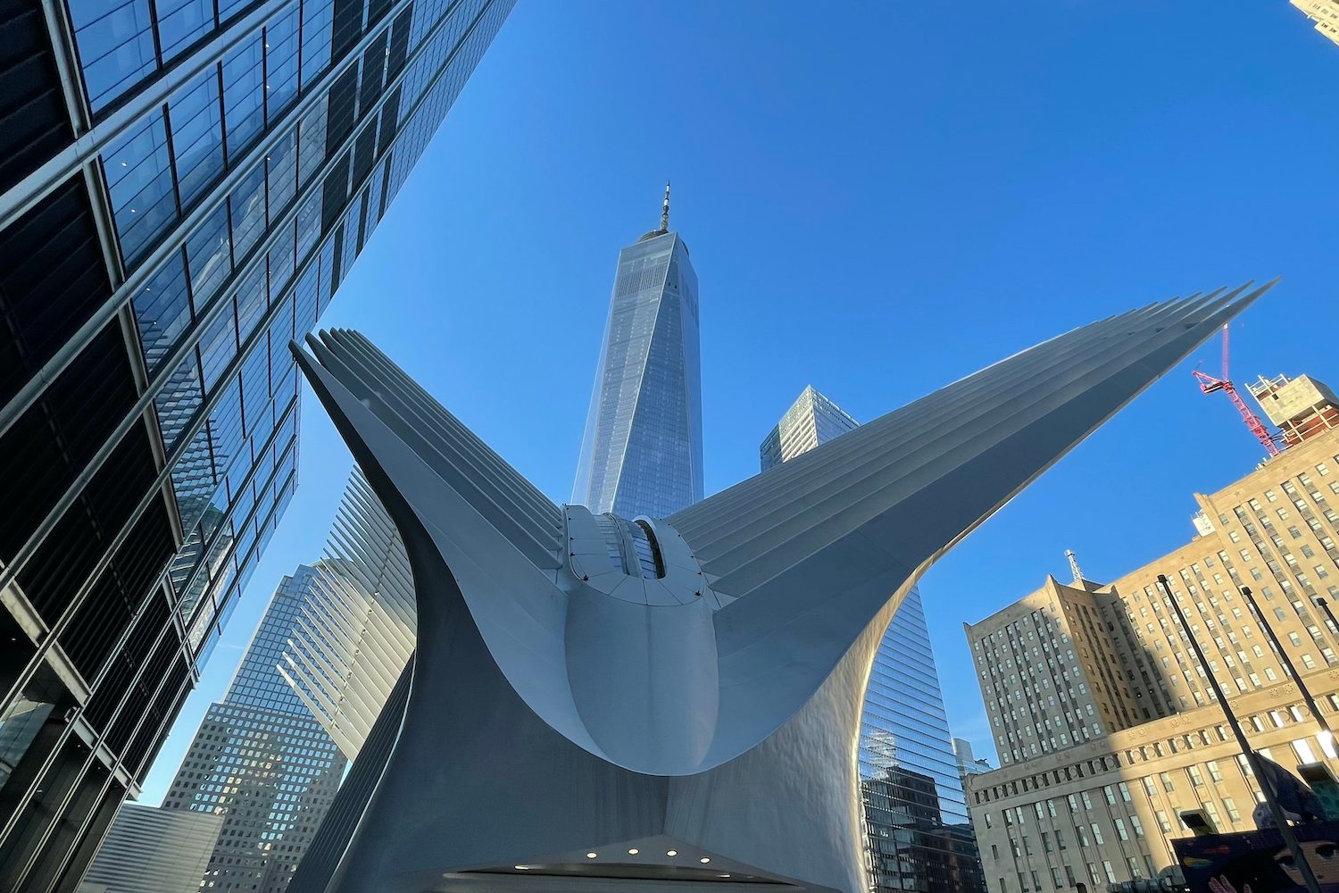 review iphone 12 mini opinion precio fotos 4