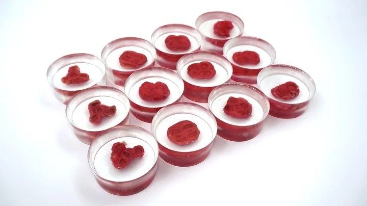 La imagen muestra el controvertido bistec humano, hecho como un prototipo a partir de células humanas.