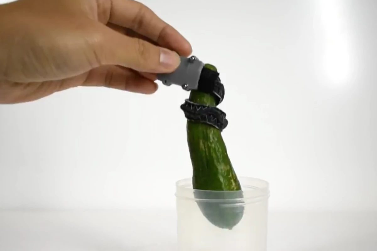 Una pinza robot inspirada en elefantes