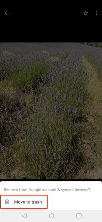 como recuperar fotos borradas en android 16 gphotos4 205x445