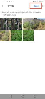 como recuperar fotos borradas en android 19 gphotos7 153x332