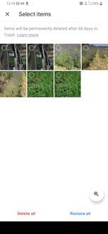 como recuperar fotos borradas en android 20 gphotos8 153x332