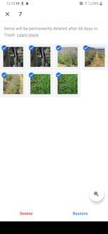como recuperar fotos borradas en android 21 gphotos9 153x332