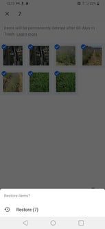 como recuperar fotos borradas en android 22 gphotos10 153x332