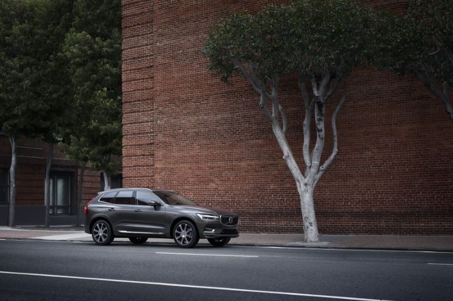 Volvo XC60 Recharge en una avenida junto a un &aacute;rbol