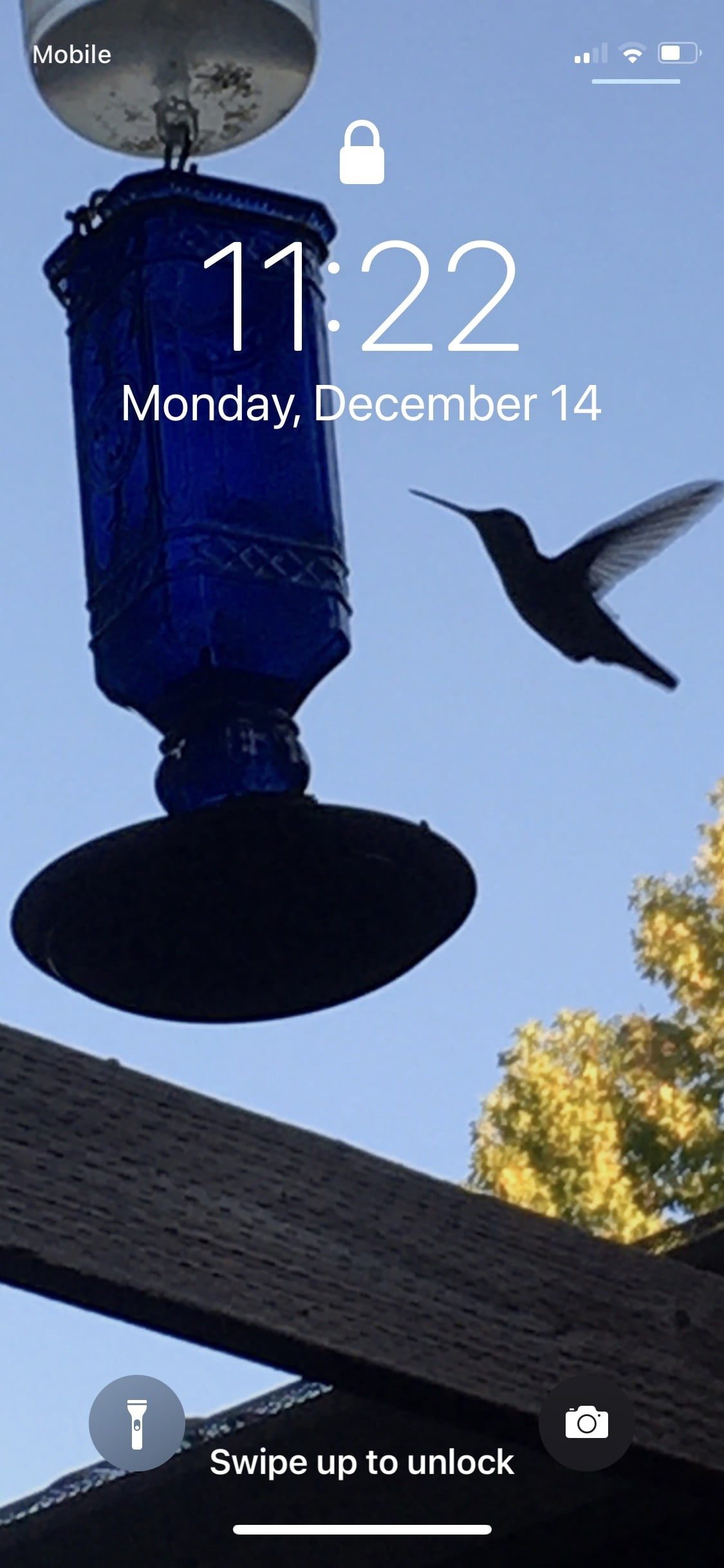 consejos y trucos para configurar tu iphone 12 44 gesture1 1125x2436