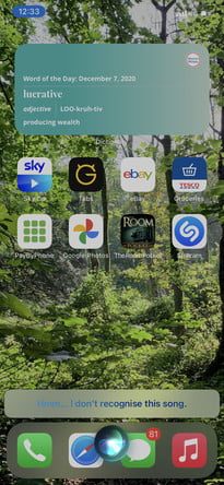 como usar shazam en ios 14 5 siri not recognized 205x444