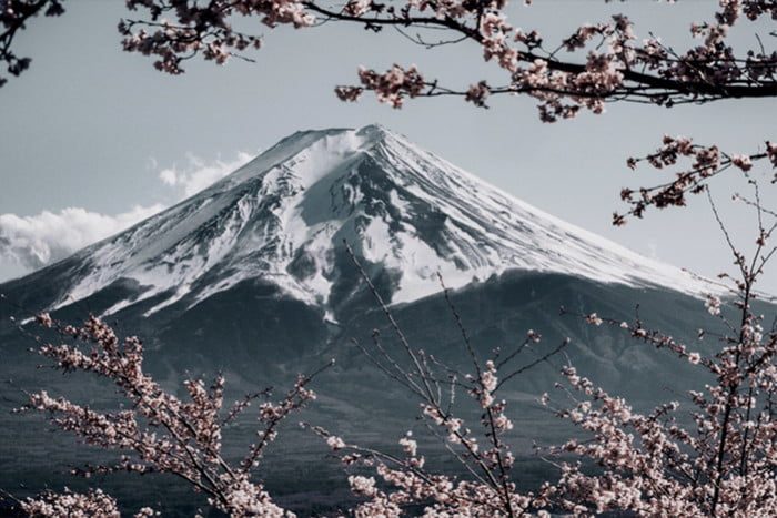 Canva, uno de los mejores lugares para encontrar fondos virtuales en Zoom 3