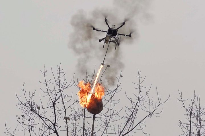 La imagen muestra un dron con un lanzallamas incinerando un nido de avispas.