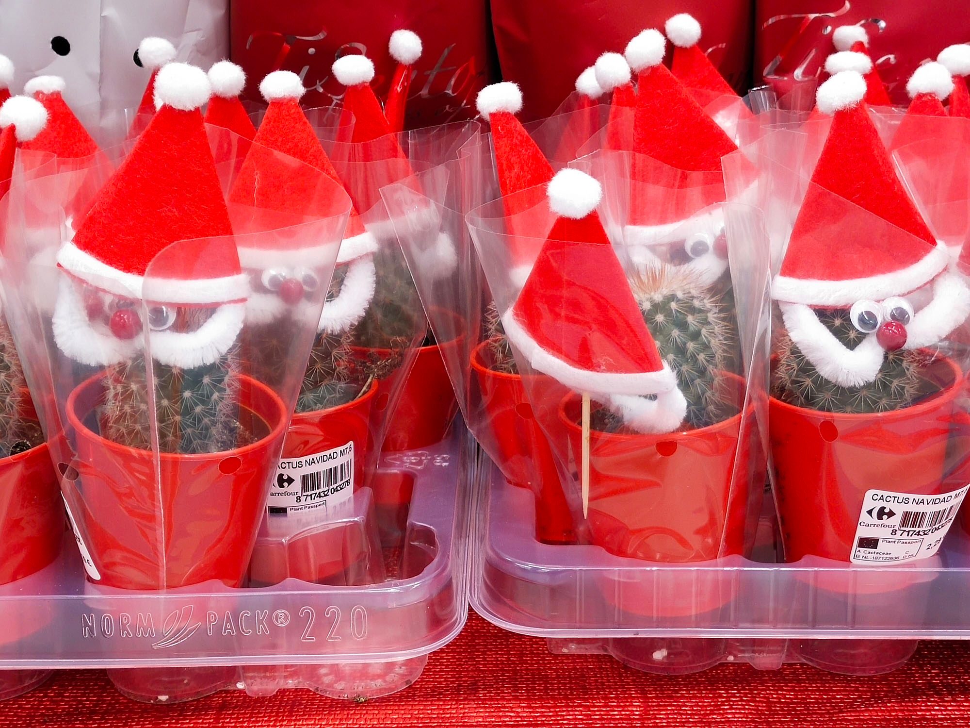 review vivo y70 analisis opinion precio foto