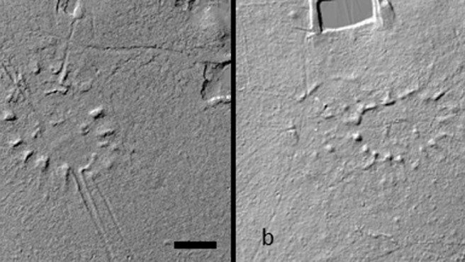La imagen muestra un grupo de aldeas descubiertas en la selva amazónica.