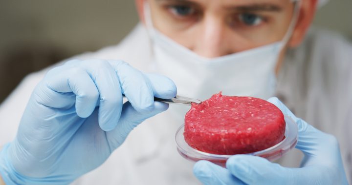 La imagen es una representación de la carne cultivada en laboratorio a base de células.
