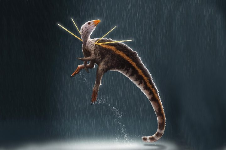 Ilustración del Ubirajara