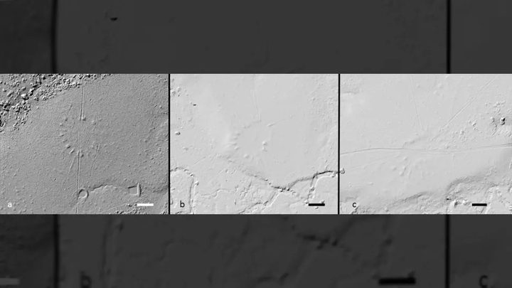 La imagen muestra un grupo de aldeas descubiertas en la selva amazónica.