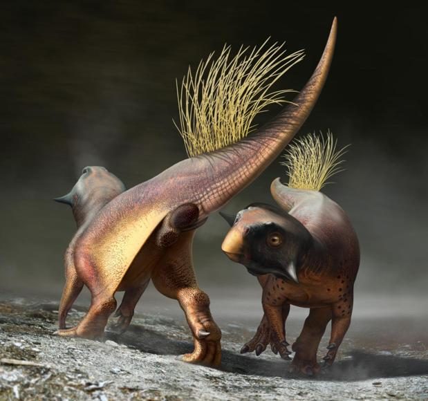 La imagen muestra una representación de un orificio cloacal de un dinosaurio.