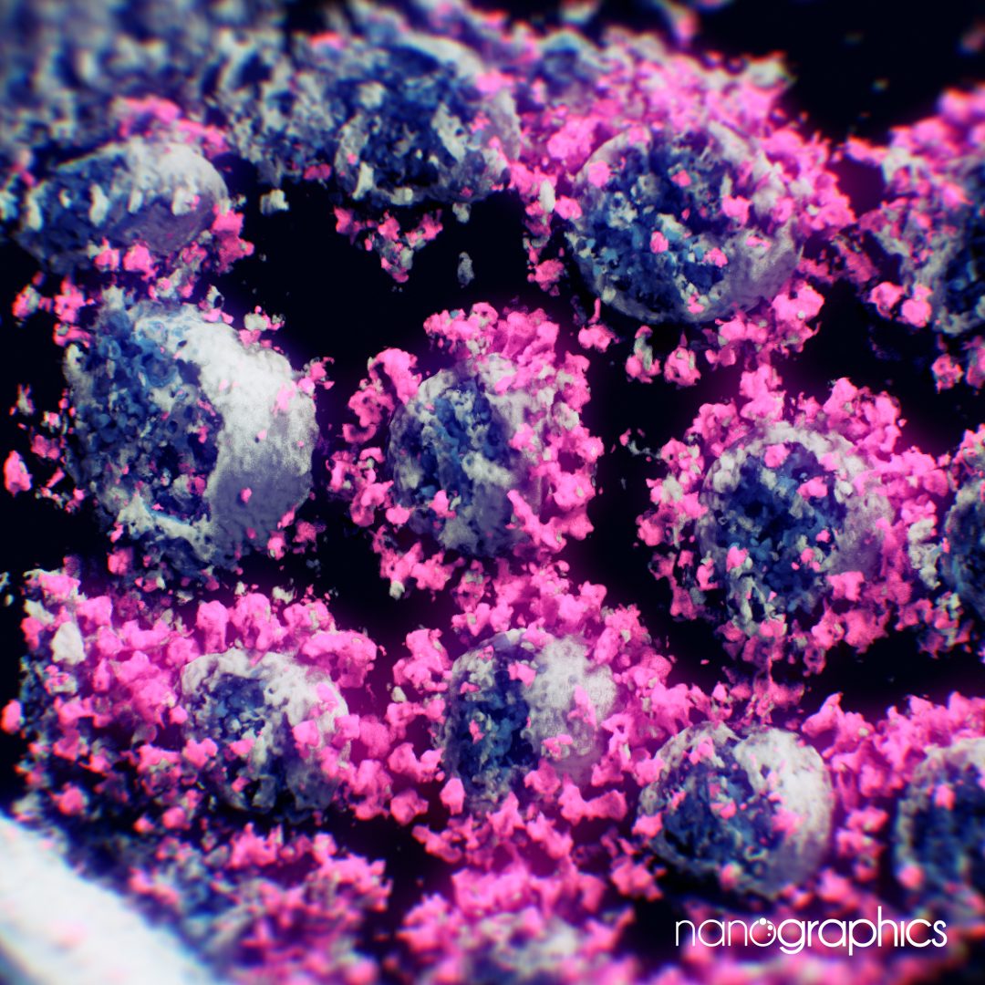 Imagen de coronavirus