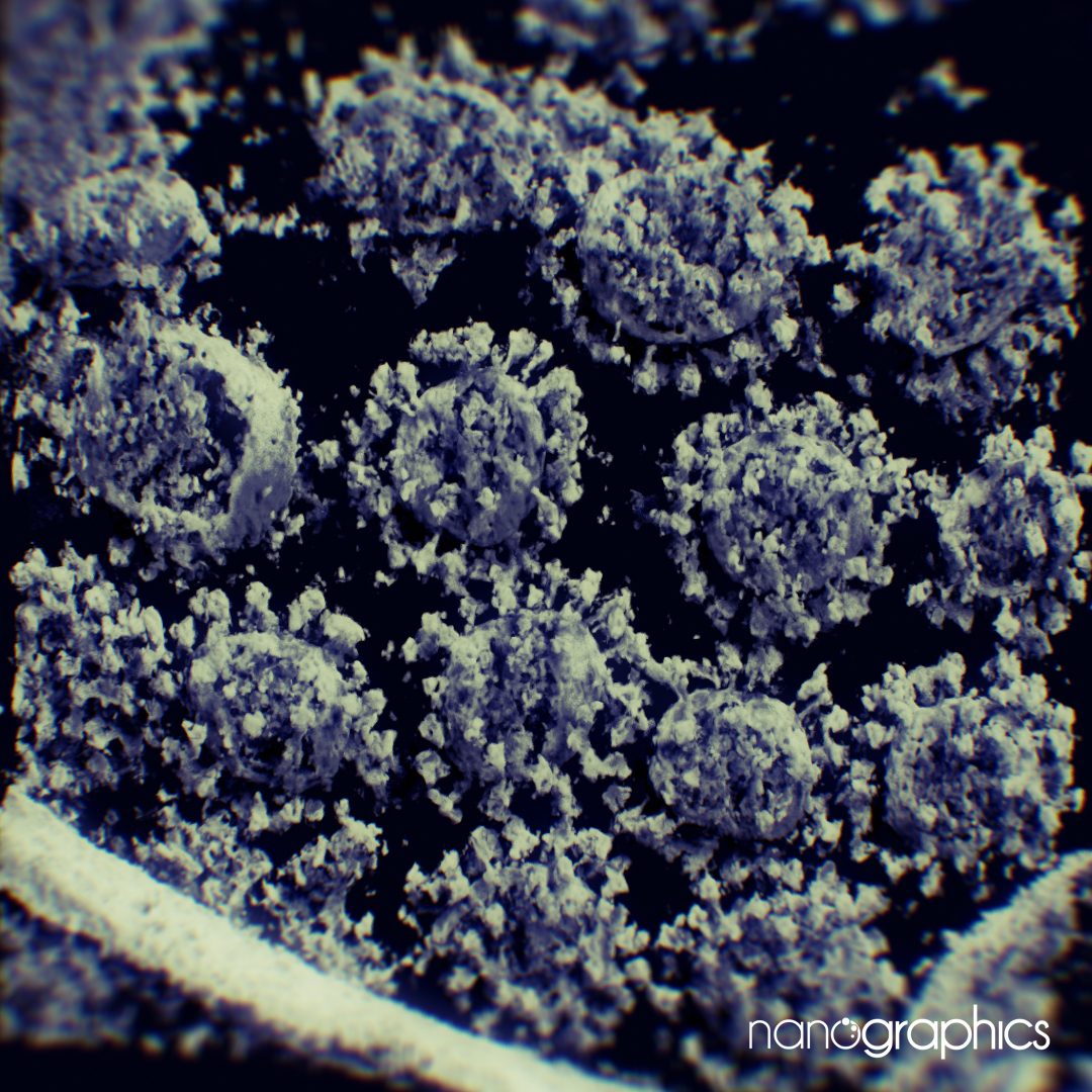 primera fotografia 3d coronavirus cryo et 2