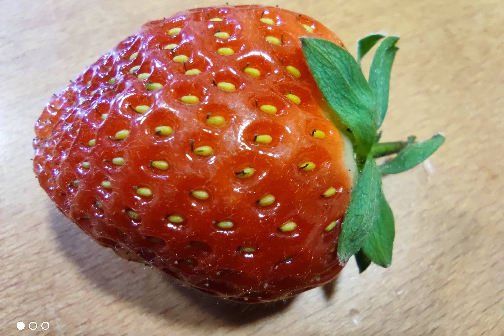 review xiaomi mi 10t pro analisis opinion precio foto modo macro