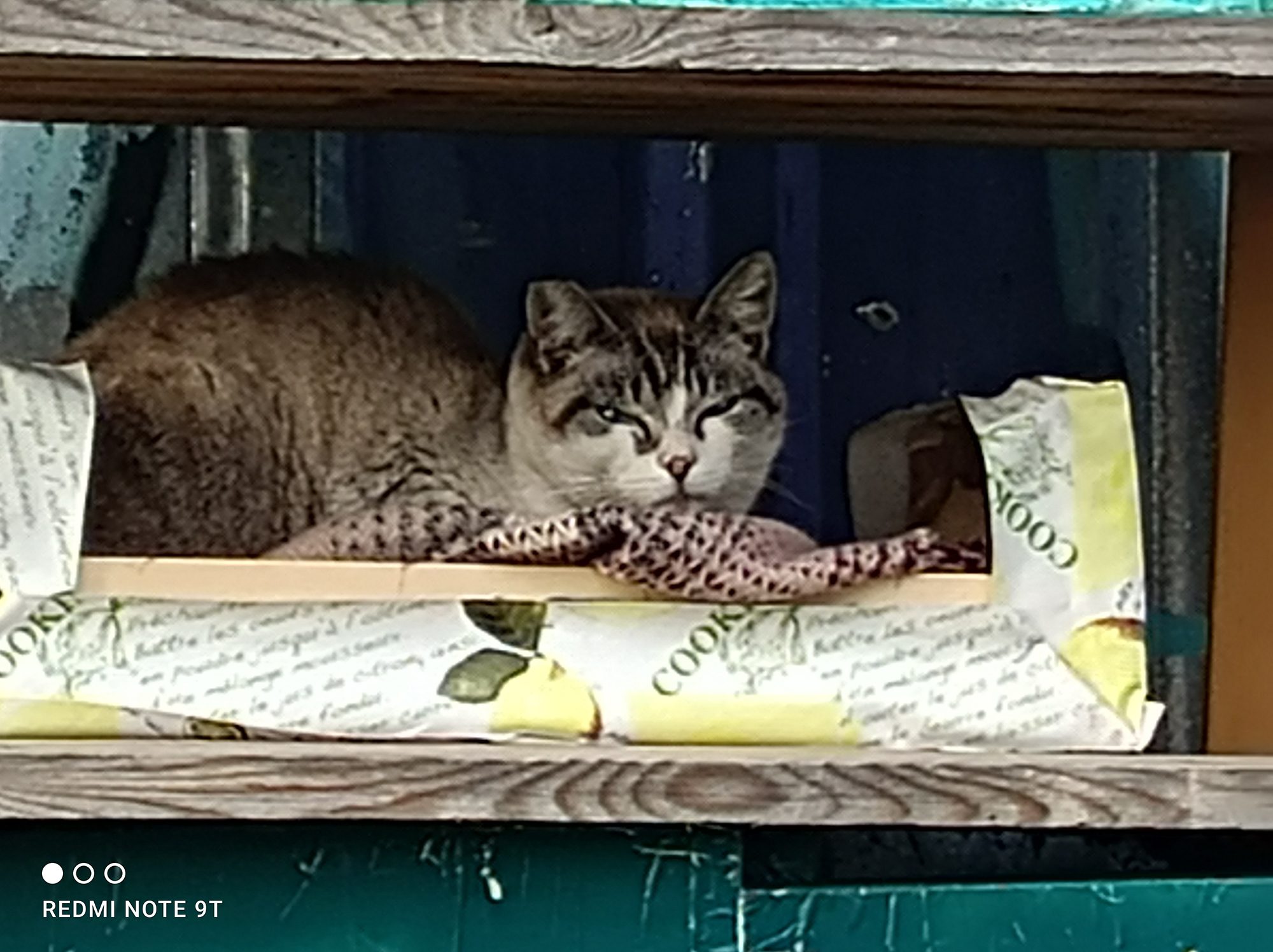 review redmi note 9t analisis opinion precio