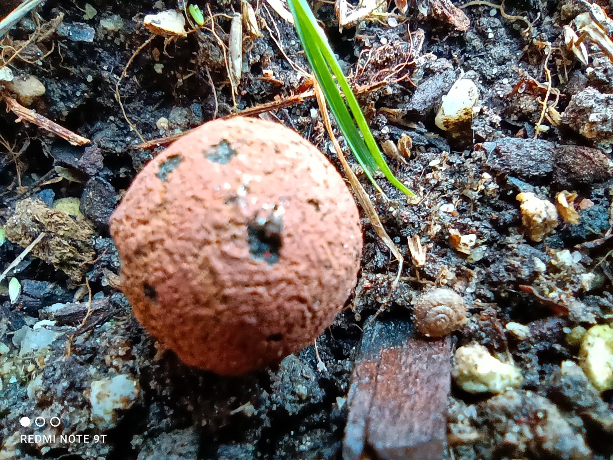 review redmi note 9t analisis opinion precio