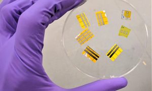 desarrollan tatuaje inteligente luz incorporada oled