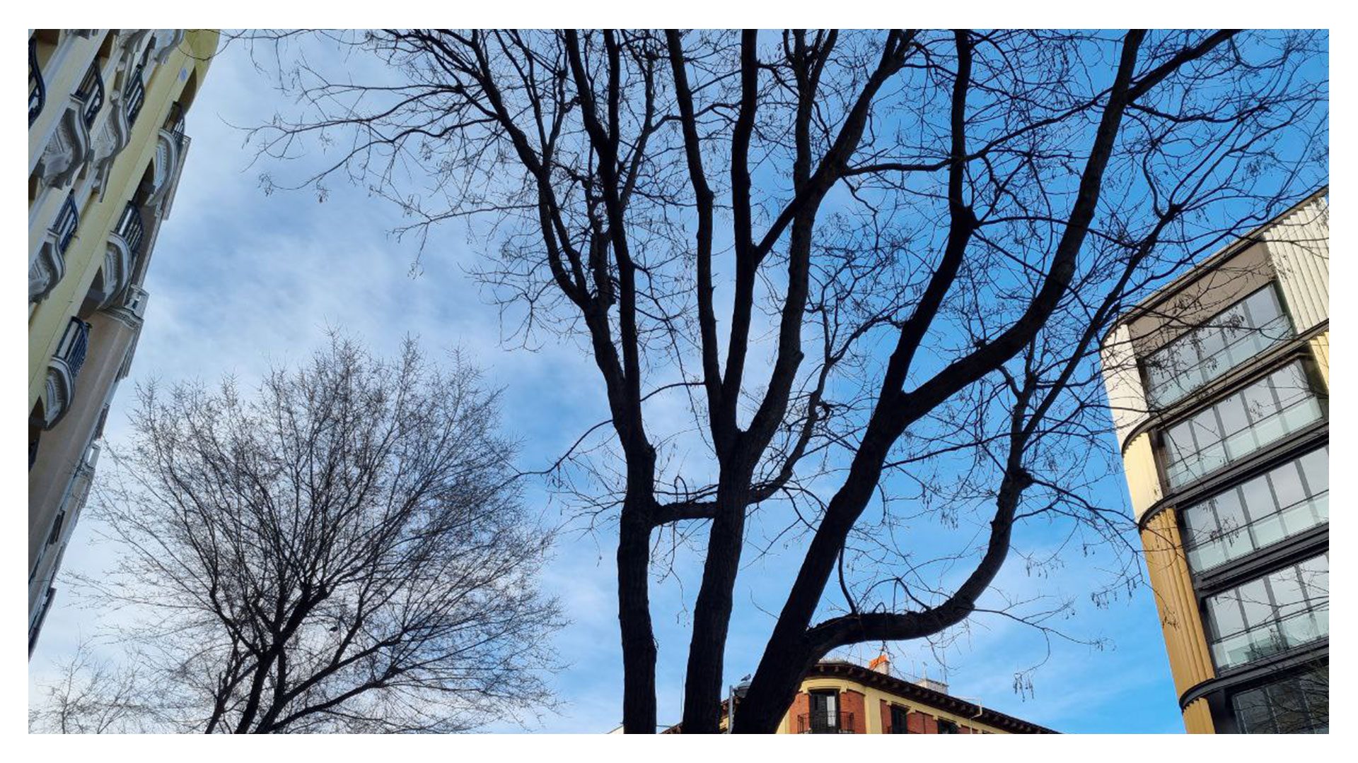 S21 Plus Modo autom&aacute;tico